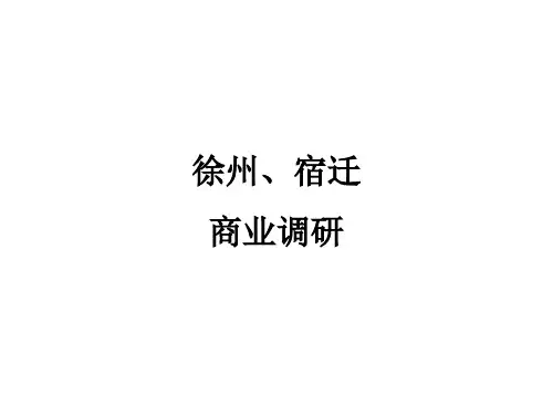 徐州商业调研