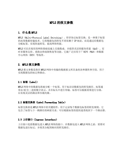 mpls的报文参数