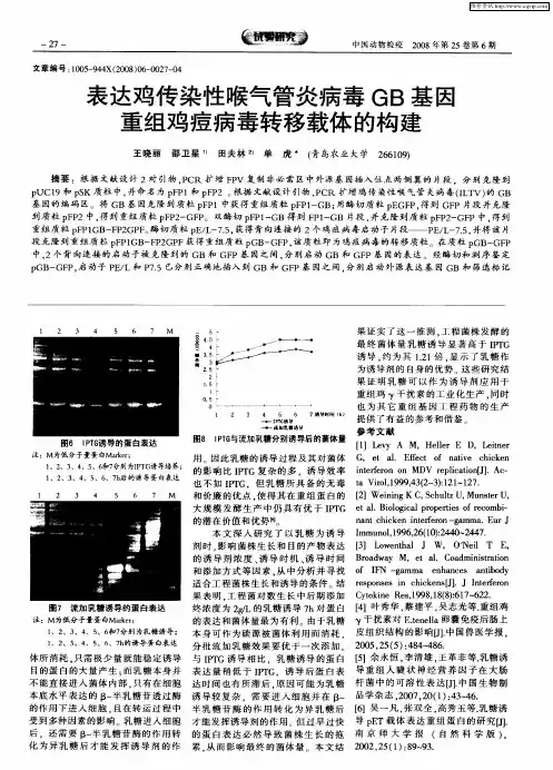 表达鸡传染性喉气管炎病毒GB基因重组鸡痘病毒转移载体的构建