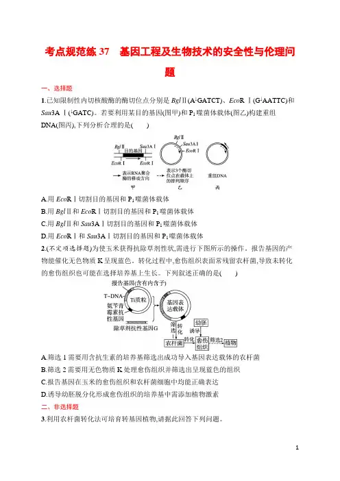 高中生物高频考点及答案37 基因工程及生物技术的安全性与伦理问题