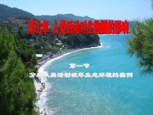 分析破坏生态环境的实例
