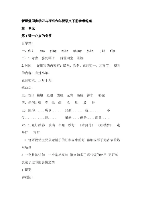 新课堂同步学习与探究六年级语文下册参考答案(部编版)