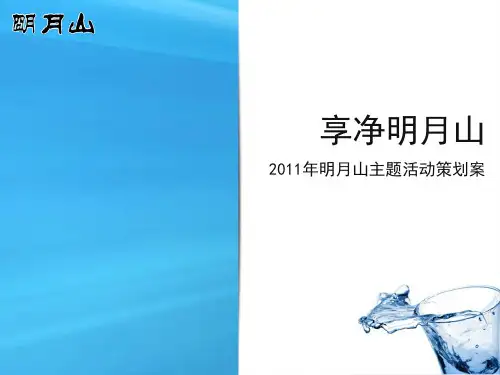 广告策划PPT提案