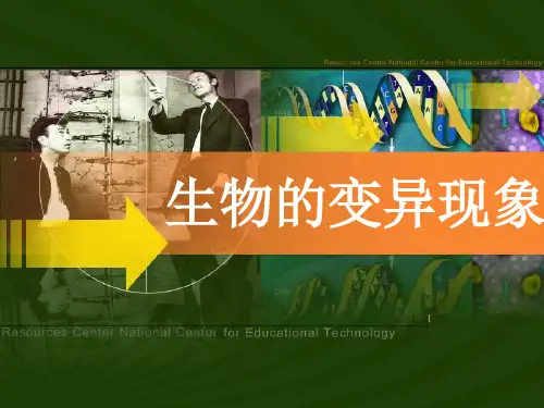 六年级下册科学课件 -2.2 生物的变异现象｜苏教版 (共17张PPT)
