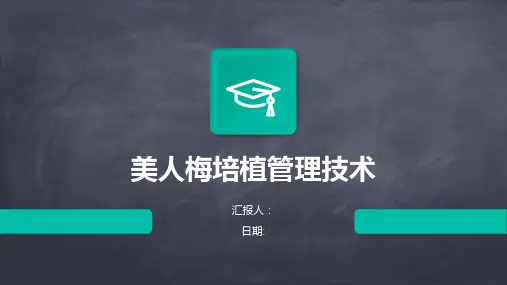 美人梅培植管理技术