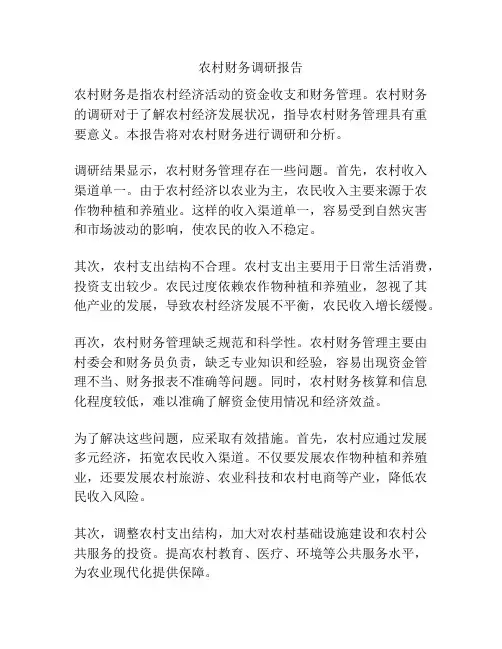 农村财务调研报告