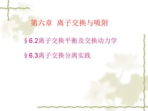 离子交换树脂PPT幻灯片课件