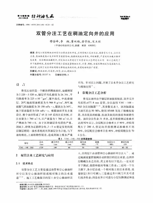 双管分注工艺在稠油定向井的应用
