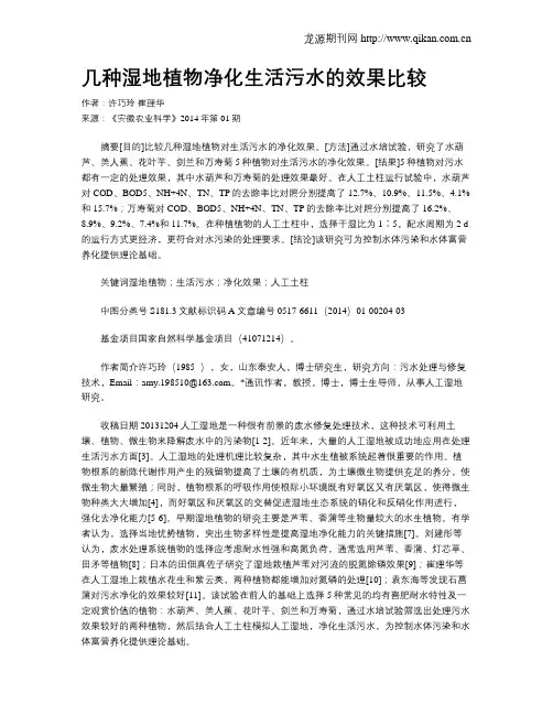 几种湿地植物净化生活污水的效果比较