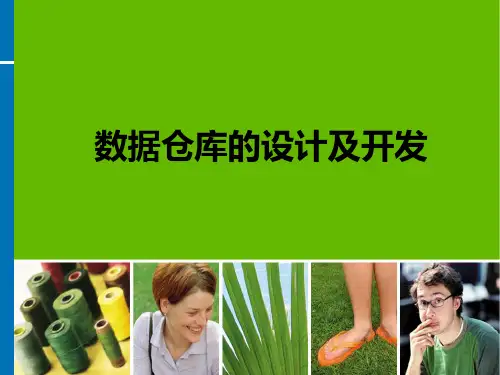数据仓库系统的设计及开发PPT课件