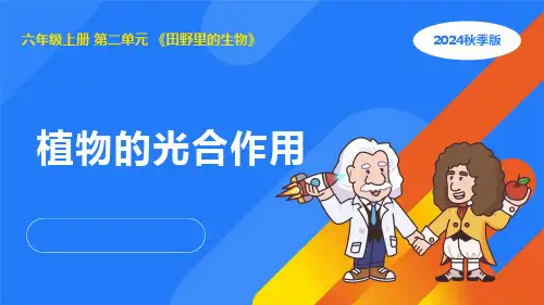 2024年人教鄂教版六年级科学上册 5 植物的光合作用(课件)