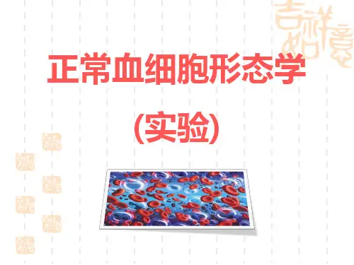 正常血细胞形态学检测实验PPT课件