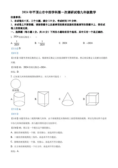 2024年河南省平顶山中考数学一模模拟试题(解析版)