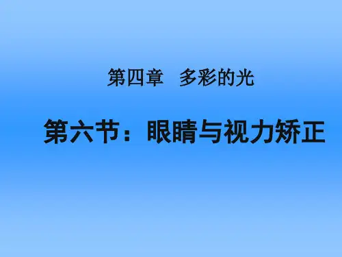 眼睛与视力矫正PPT课件