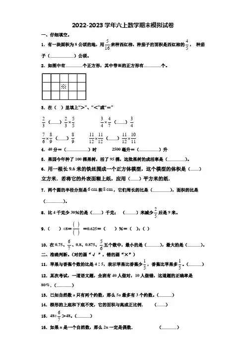 2023届广东省深圳市龙岗区六年级数学第一学期期末学业水平测试模拟试题含解析