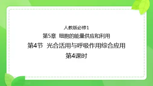 5.4 光合活用与呼吸作用综合应用 教学课件 高中生物人教版(2019)必修一