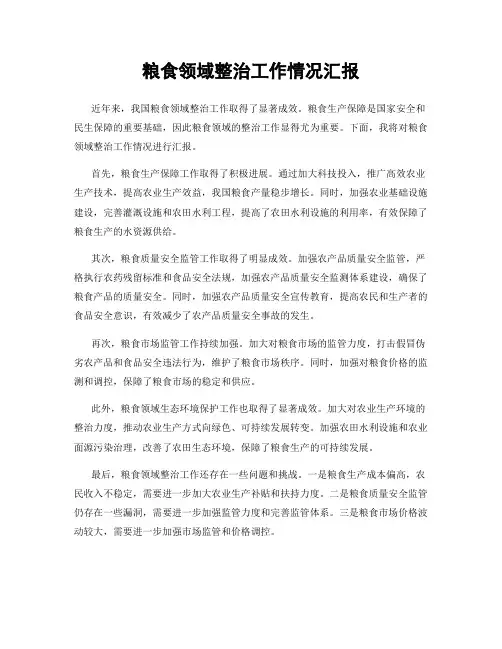 粮食领域整治工作情况汇报
