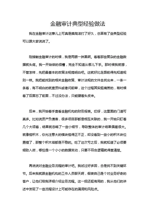 金融审计典型经验做法
