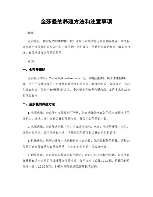 金莎曼的养殖方法和注意事项