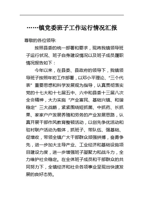 镇党委班子工作运行情况汇报