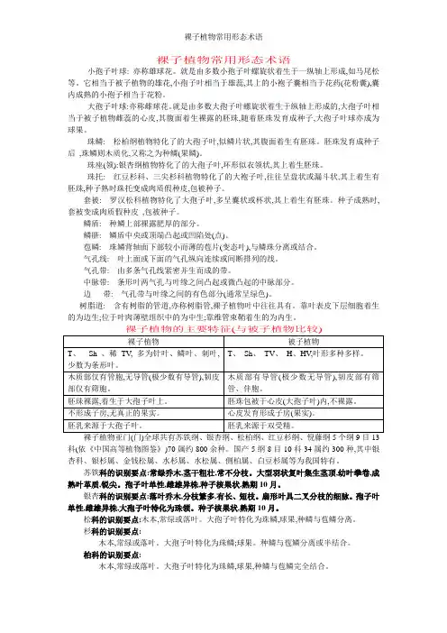 裸子植物常用形态术语