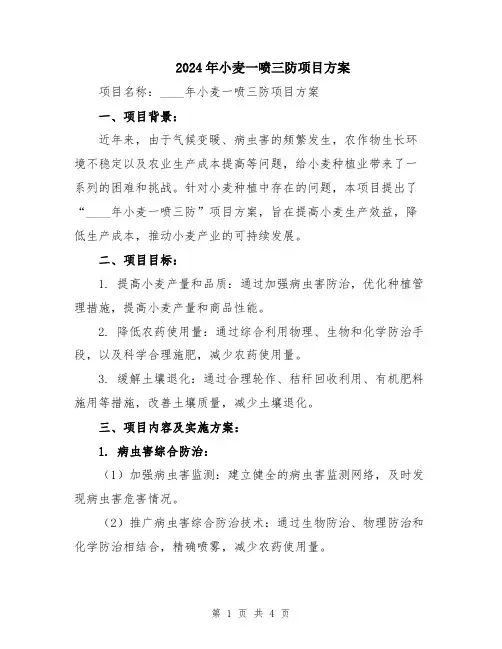 2024年小麦一喷三防项目方案