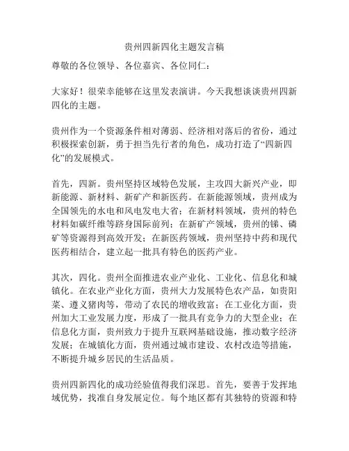 贵州四新四化主题发言稿