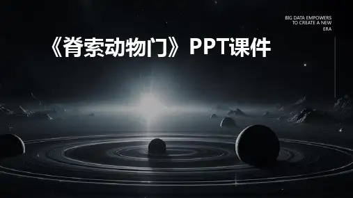 《L脊索动物门》课件