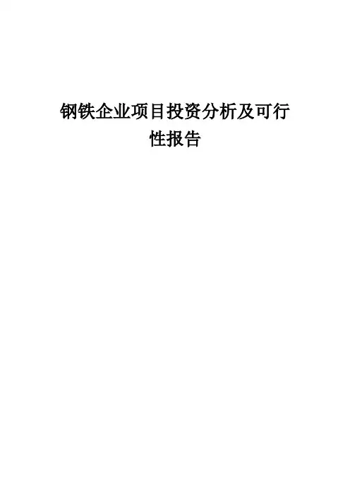 2024年钢铁企业项目投资分析及可行性报告