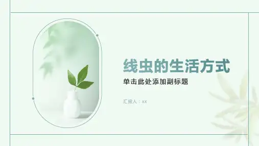 线虫的生活方式