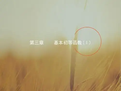 2017-2018学年高一数学人教B版必修1课件：3-1-1实数指