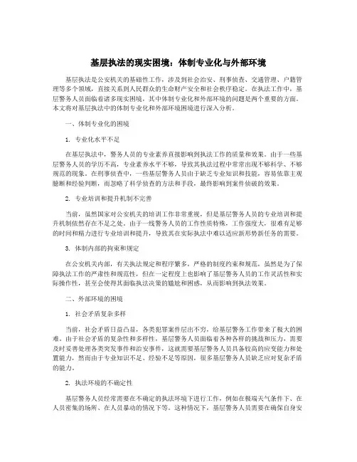 基层执法的现实困境：体制专业化与外部环境