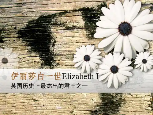 (大一上英美概况)伊丽莎白一世Elizabeth I