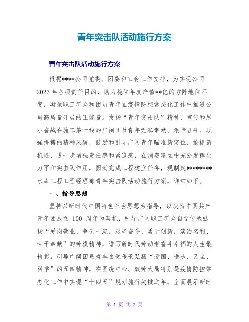 青年突击队活动实施方案