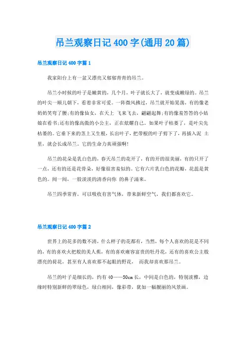 吊兰观察日记400字(通用20篇)