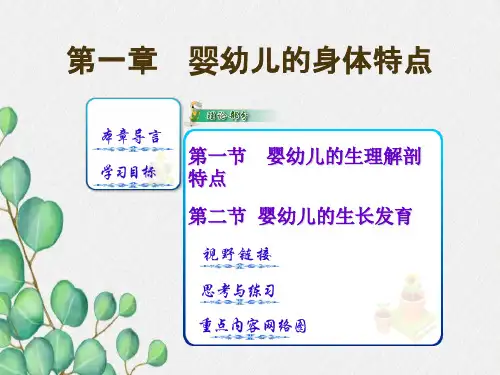 幼儿卫生学---第一章-婴幼儿的身体特点