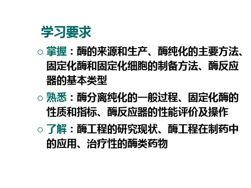 生物技术制药酶工程制药