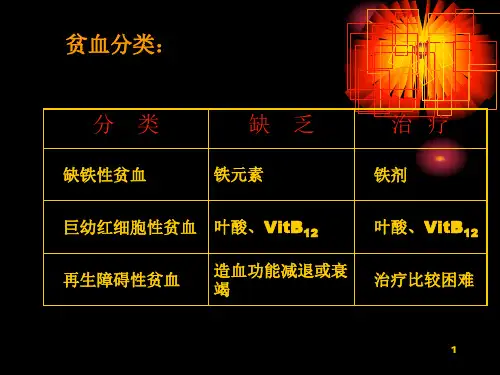 24章抗贫血药PPT优秀课件