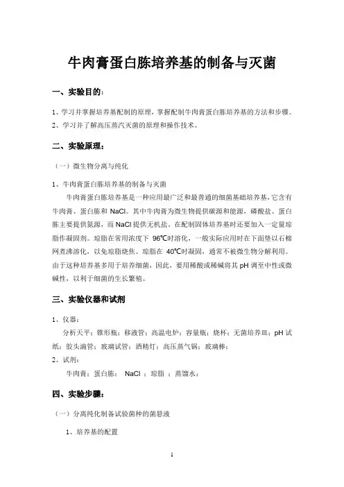 牛肉膏蛋白胨培养基的制备与灭菌