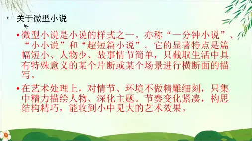 【人教部编版】六年级上册在柏林(完美版)PPT课件