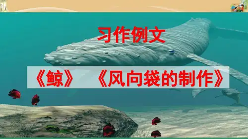 小学语文五年级上册第五单元习作例文《鲸》 《风向袋的制作》课件
