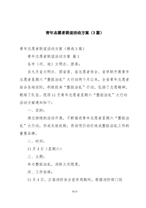 青年志愿者联谊活动方案(3篇)