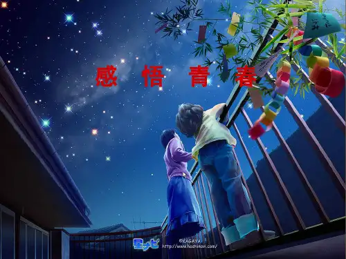 《感悟青春》解析PPT课件