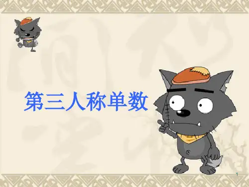 小学六年级上第三人称单数专项讲解