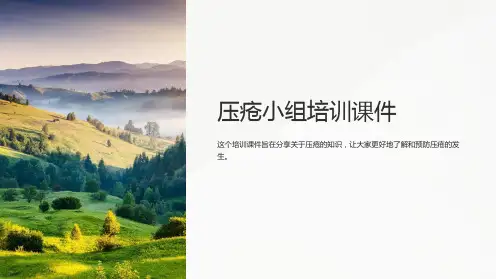 压疮小组培训课件