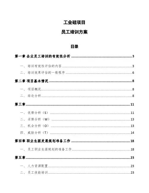 工业硅项目员工培训方案（范文）