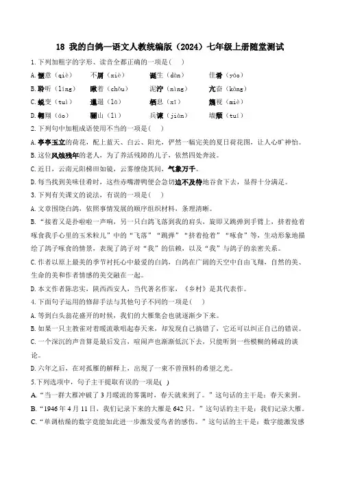 18 我的白鸽—语文人教统编版七年级上册随堂测试(含解析) 
