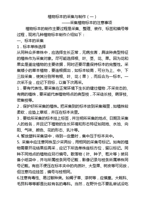 植物标本的采集与制作一