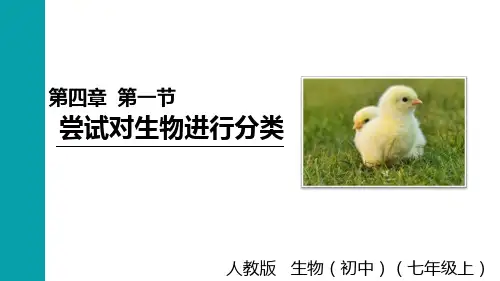 (RJ)七年级生物上册第2单元  多种多样的生物第一节 尝试对生物进行分类