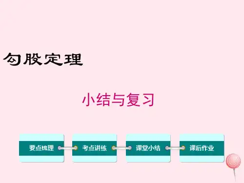 新人教版八年级数学下册第十七章勾股定理小结与复习1